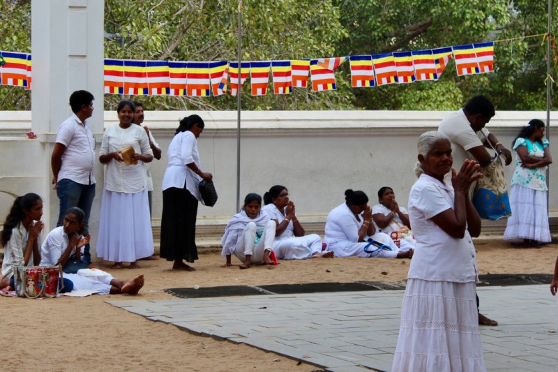 Sri Maha Bodhi Tree worshippers Sri Maha Bodhi Tree prayers