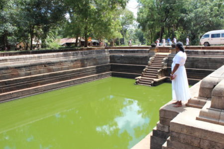 The Twin Ponds of Anuradhapura Twin ponds visitor