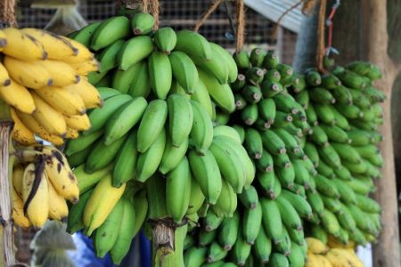Bananas, Sri Lanka's South Coast