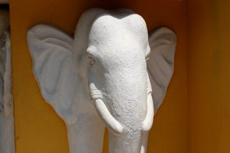 Buddhist temple elephant, Sri Lanka's South Coast