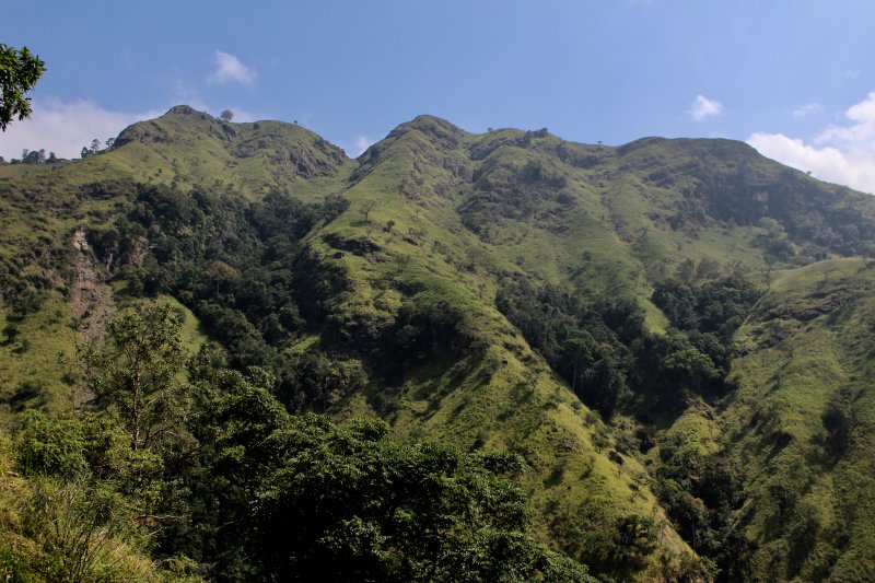 Green hills of Ella Green hills of Ella