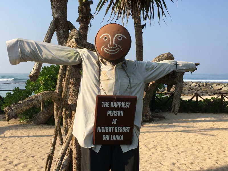 Insight Resort the happiest person Insight Resort the happiest person