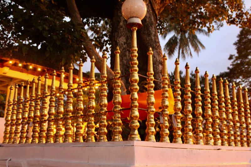 Kandy tree fencing Kandy tree fencing