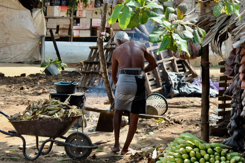 Man at his work, Sri Lanka's South Coast Man at his work, Sri Lanka's South Coast
