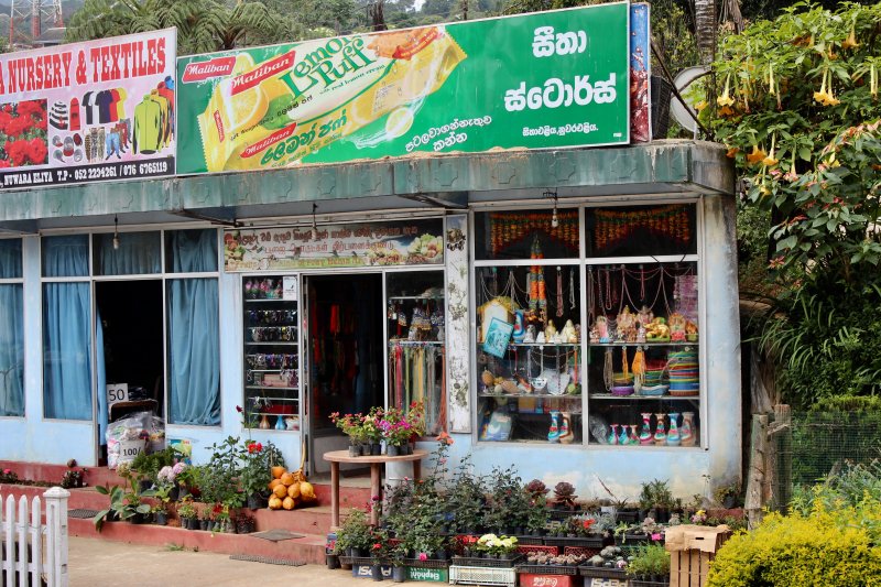 Kandy to Nuwara Eliya Sri Lanka's Tea Country Routes and Trips