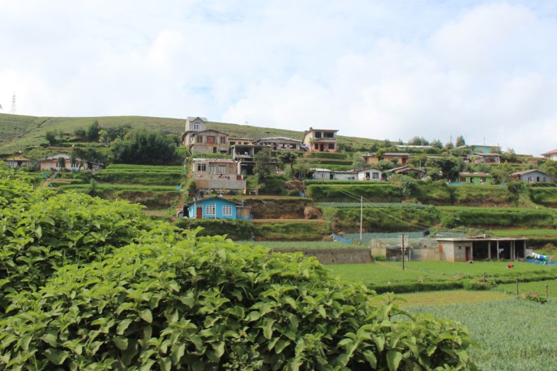 Homes and gardens near Nuwara Eliya, Sri Lanka Homes and gardens near Nuwara Eliya, Sri Lanka