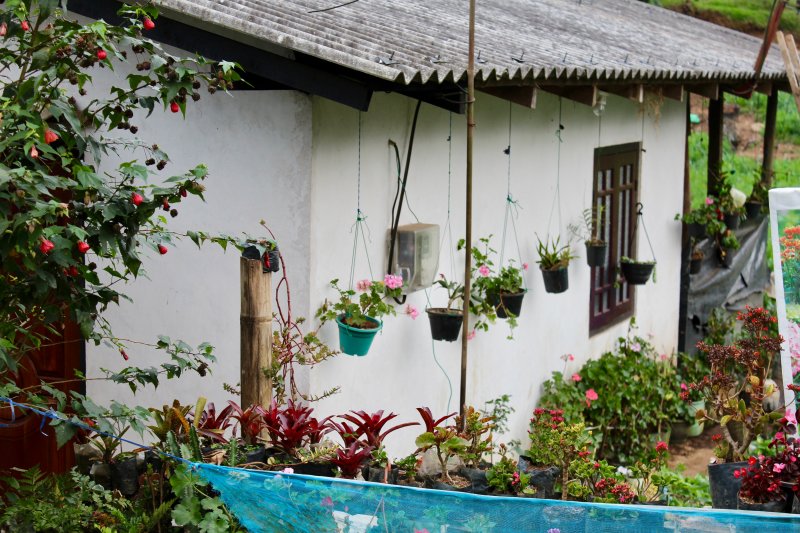 Kings Cottage neigborhood: a local home Nuwara Eliya house and garden