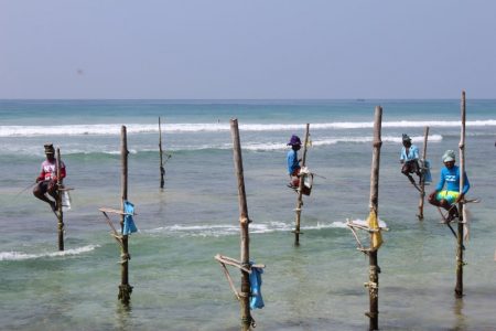 Sri Lanka's South Coast stilt fishing