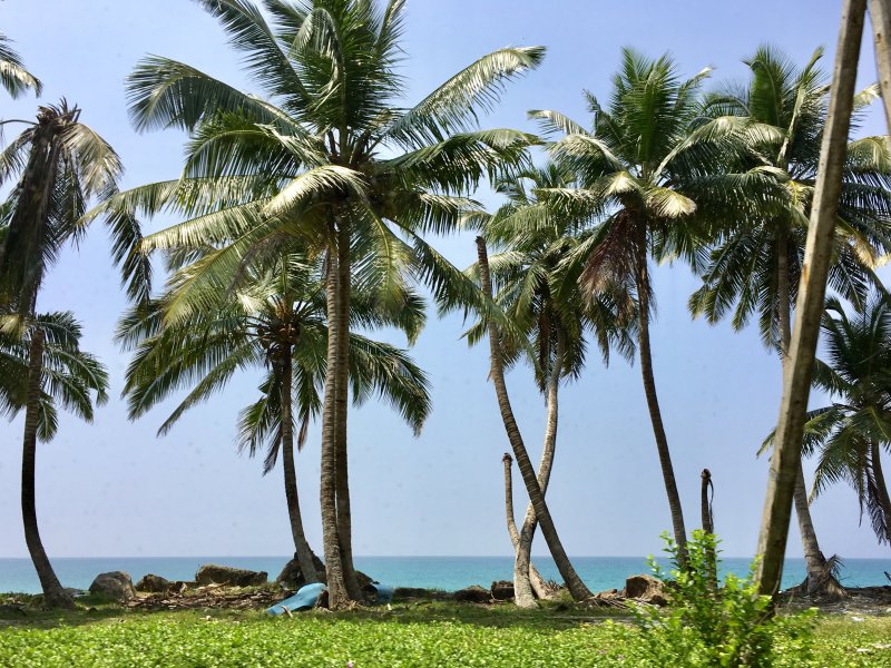Sri Lanka's South Coast after tsunami Sri Lanka's South Coast after tsunami