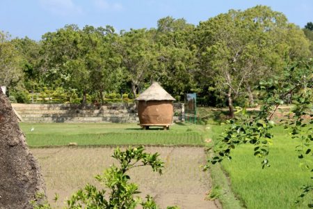 Sri Lanka's South Coast rice storage