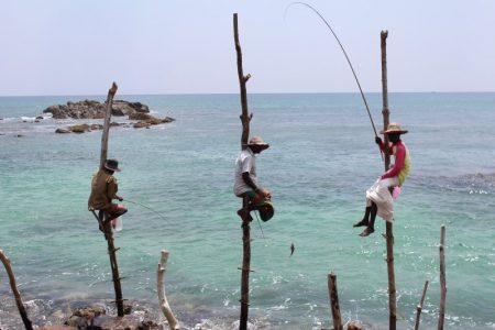 Sri Lanka's South Coast stilt fishermen
