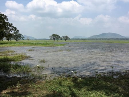 Tissamaharama lake