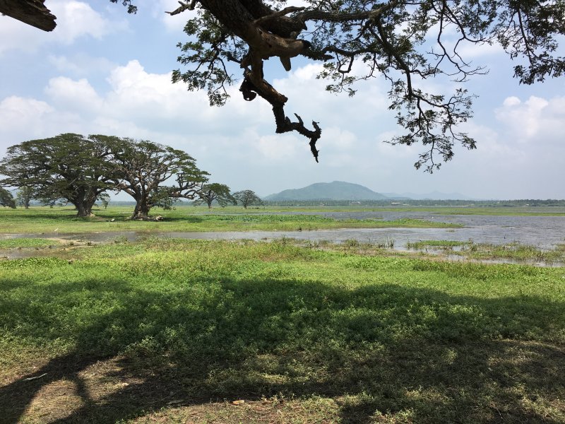 Tissawewa, one of Tissamaharama's artificial lakes Tissawewa, one of Tissamaharama's artificial lakes