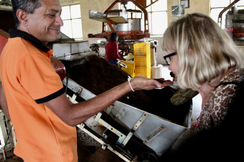 World-famous Ceylon tea Trying tea, Liddesdale factory Sri Lanka