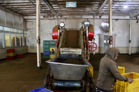 Working in a tea factory Working in Sri Lankan tea factory