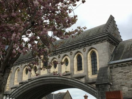 Christ Church Cathedral, self-guided Dublin walking tour Christ Church Cathedral, self-guided Dublin walking tour