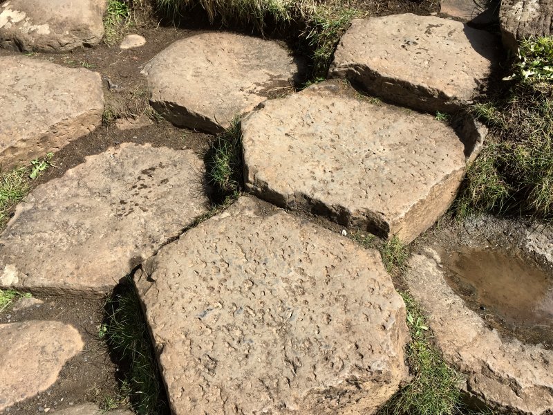 Formed stones of Giants Causeway
