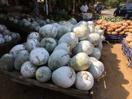 Pumpkins sold on Sri Lanka's South Coast