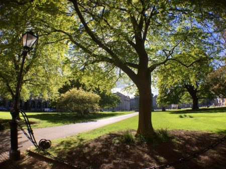 Trinity College garden