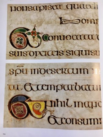 Trinity College Library Book of Kells