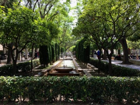 Avinguda d'Antoni Maura, Palma de Mallorca