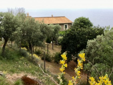 Hike from Port de Valldemossa to S'Estaca
