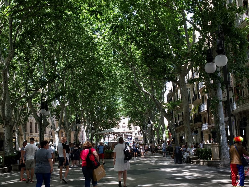 Passeig des Born, Palma de Mallorca Passeig des Born, Palma de Mallorca