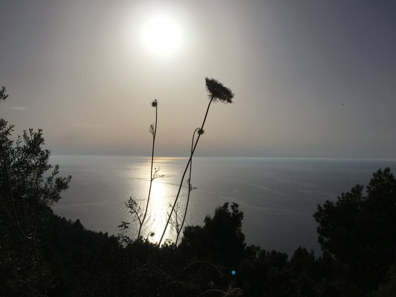 Serra de Tramuntana evening Serra de Tramuntana evening