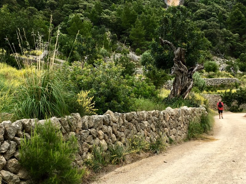 Mallorca: hiking in Serra de Tramuntana Mallorca: hiking in Serra de Tramuntana