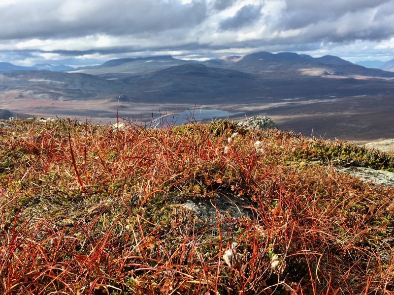 Autumn on Saana fell Autumn on Saana fell
