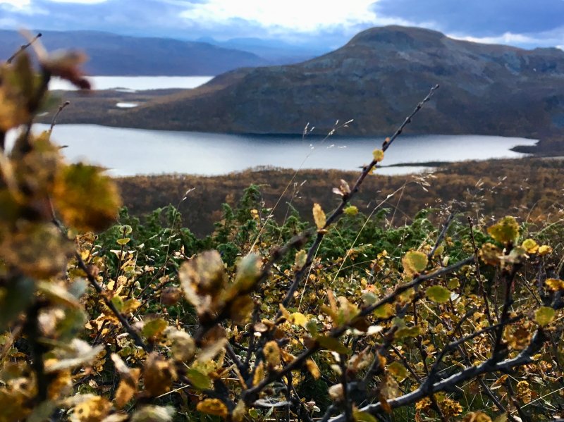 Arctic nature, important for the Sámi people Arctic nature, important for the Sámi people