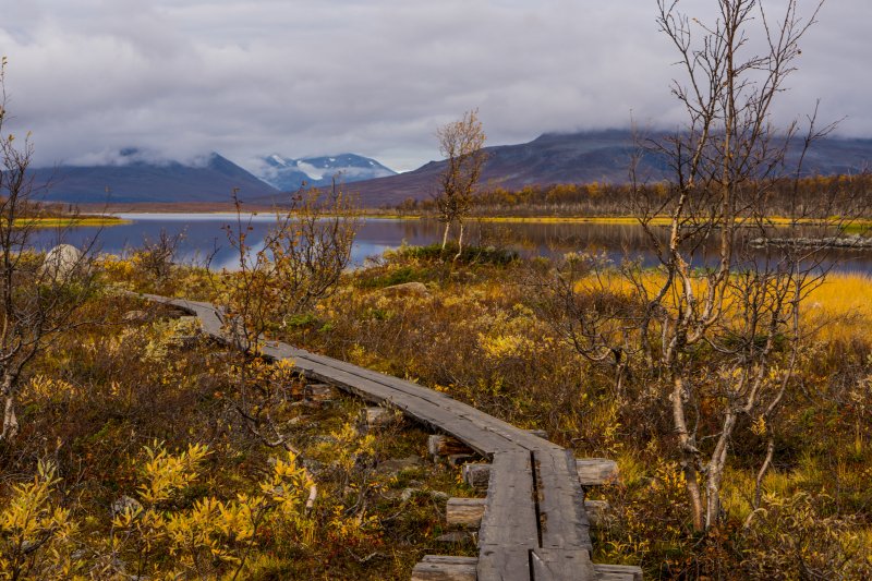 Walkway to the three nations border point, Lapland Walkway to the three nations border point, Lapland