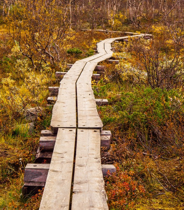 Kilpisjärvi hiking trail Wooden walkway, Kilpisjärvi