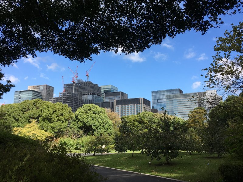 Downtown Tokyo from Imperial Palace Gardens Downtown Tokyo from Imperial Palace Gardens