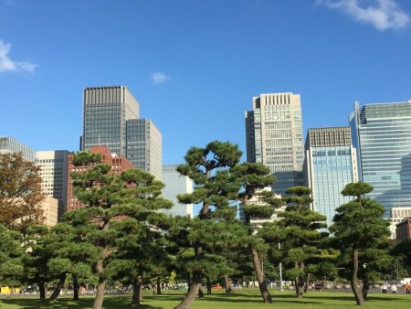Imperial Palace Plaza and downtown Tokyo