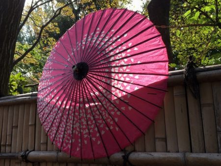 Japanese parasol, Ueno Park