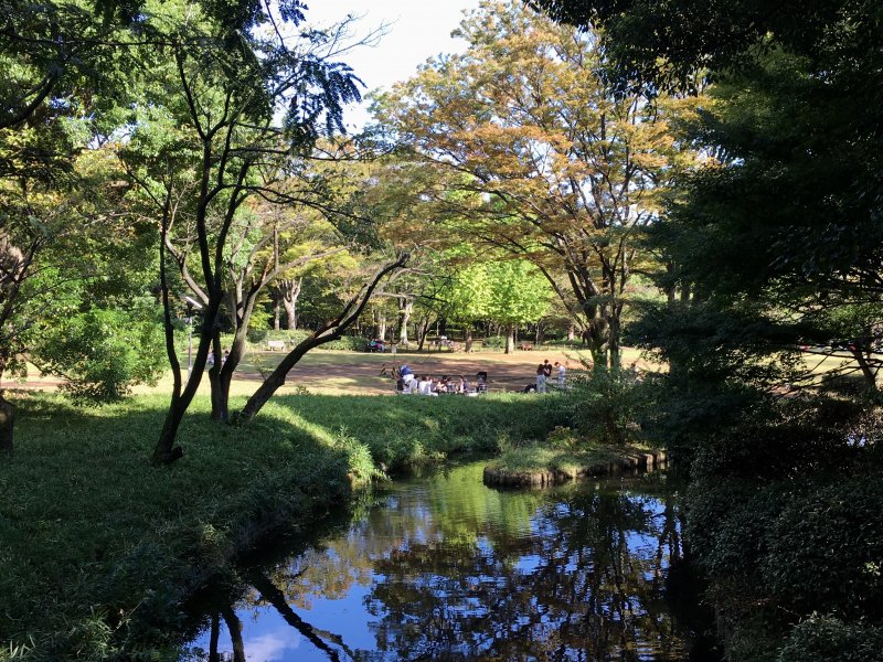 Kitanomaru Park on Imperial Palace Grounds Kitanomaru Park, Tokyo