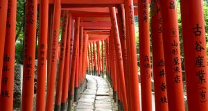 Dreaming about travel: Japanese shrine gates