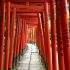 Dreaming about travel: Japanese shrine gates