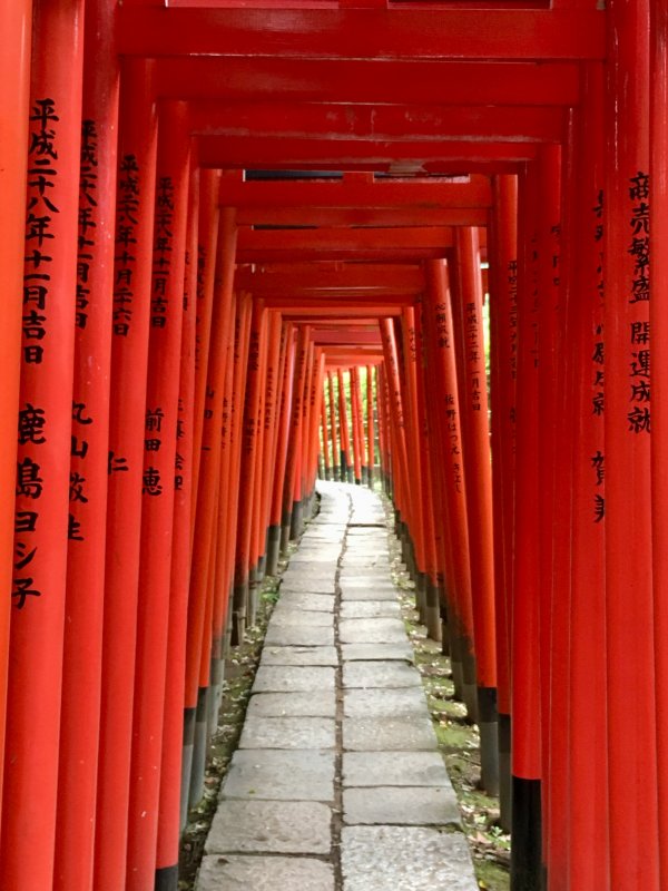 Torii tunnel leading toNezu Shrine, Tokyo Torii tunnel leading toNezu Shrine, Tokyo