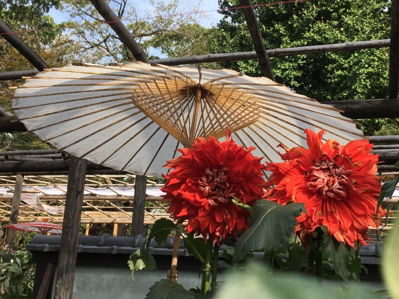 Paper art and flowers, a typical view of Tokyo