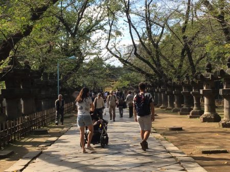 Walkway to Tosho-gu Shrine