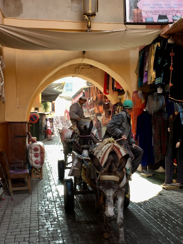 A man and donkey in the souks of Marrakech