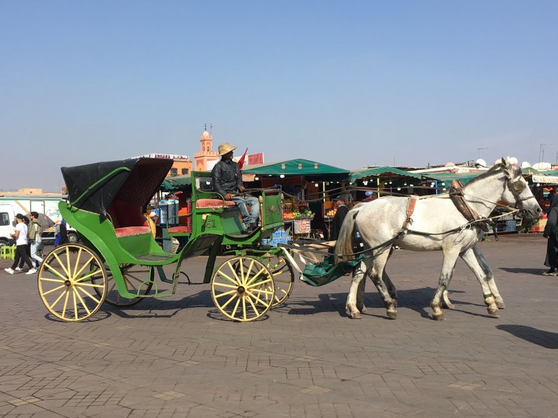 Horse and carriage, Jemaa el-Fna Horse and carriage, Jemaa el-Fna
