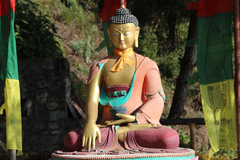 Hotel Coutnry Villa Buddha statue Hotel Coutnry Villa Buddha statue