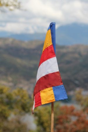 Buddhist flag, World Peace Stupa
