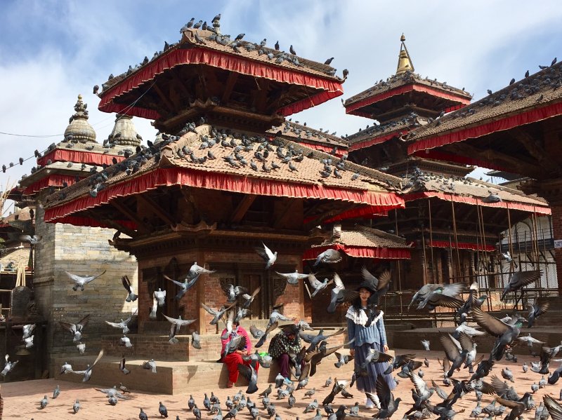 Kathmandu Durbar Square pigeons, Nepal Kathmandu Durbar Square pigeons, Nepal