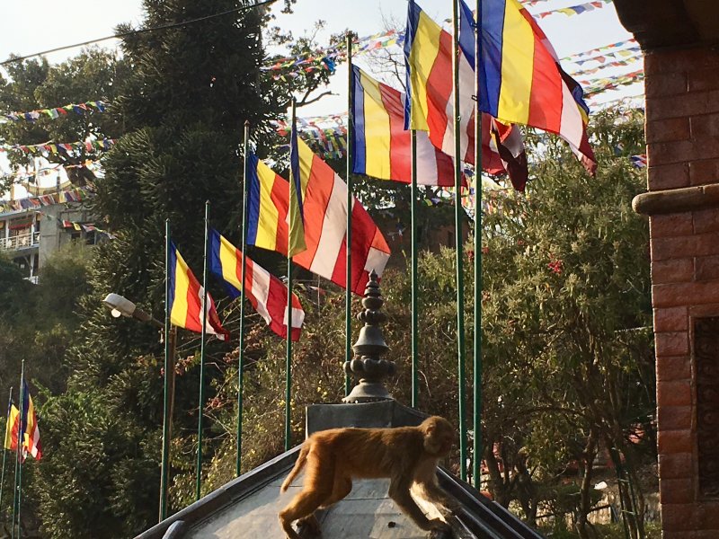 Swayambbunath, the Monkey Temple Swayambbunath, the Monkey Temple