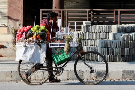 Pokhara fruit seller