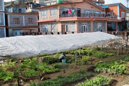 Pokhara garden